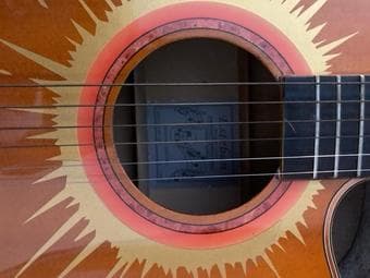Esteban Accoustic/Electric Guitar Model AZP011262 $100 2