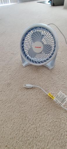 fan 1