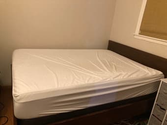 comfy full size mattress + box spring + washable mattress protector 2