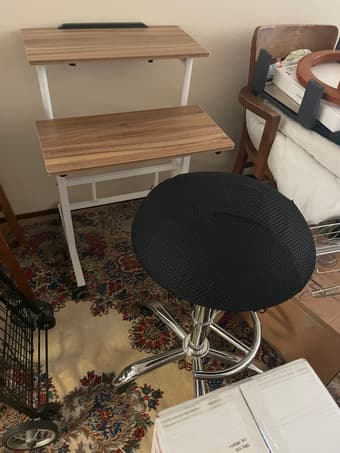 Balance Ball Standing Chair 1
