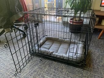 Top Paw 24" Double Door Folding Wire Dog Crate with Divider Panel 2