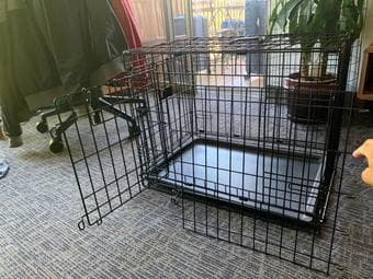 Top Paw 24" Double Door Folding Wire Dog Crate with Divider Panel 3