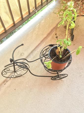 Beautiful Plant Holders 2