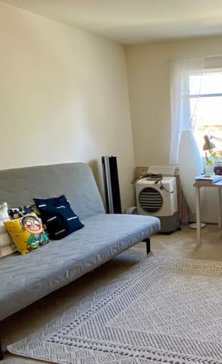 IKEA sleeper sofa 1