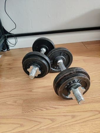 40lb adjustable dumbbells 1