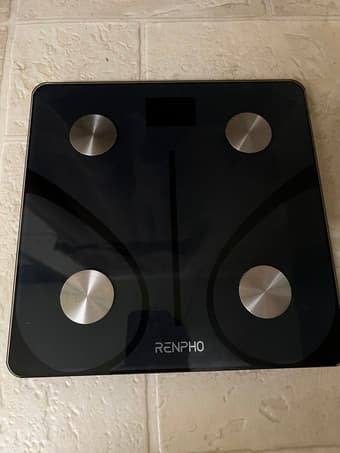 Scale 1
