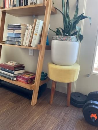 Home decor, books, accessories, & more 2
