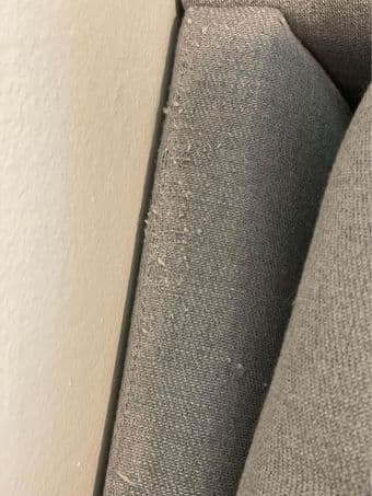 West Elm Arm Chair 2