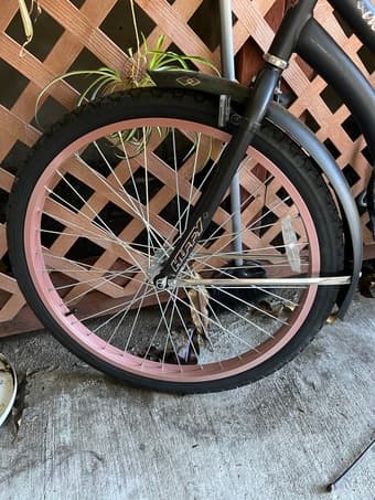 Selling a bike for $250 2
