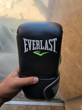 Everlast Boxing Gloves 2