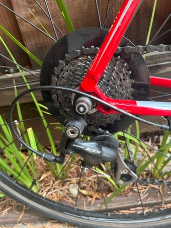 Flaming red carbon Bianche Intenso 2