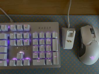 Razer Huntsman - US - Mercury Edition 3