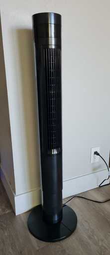 Fans 2