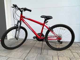 Roadmaster kid's Mountain Bike 24" 1