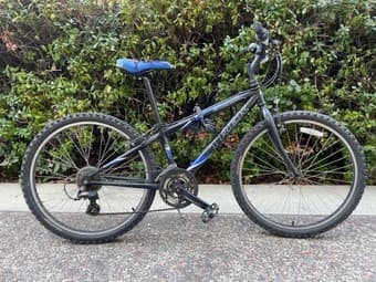 Trek 800 Sport Bike 2