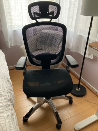 Ergonomic desk chair 1