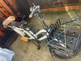 Unisex Electric Cargo family bike 1