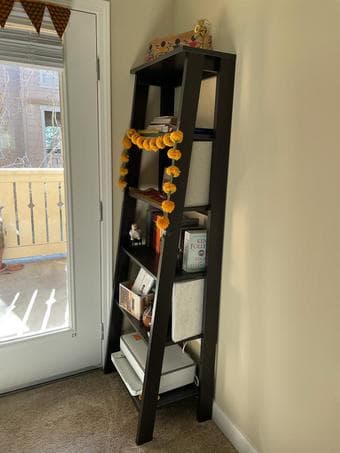 Ladder Bookcase 1