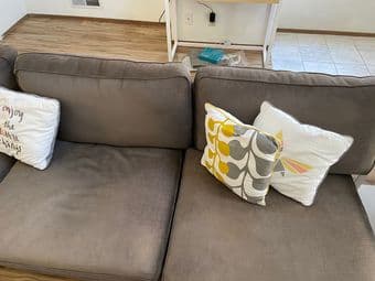 Coach and coffee table 2