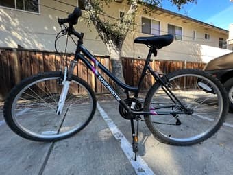 New Roadmaster bike 1