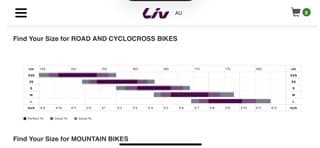 Almost new Bike LIV ALight 2, Size L, + Kryptonite ULock & Cable 2