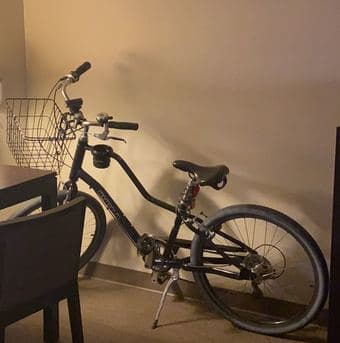 Move-out Sale (Momentum Bike with U-lock, basket, front & rear lights) 1