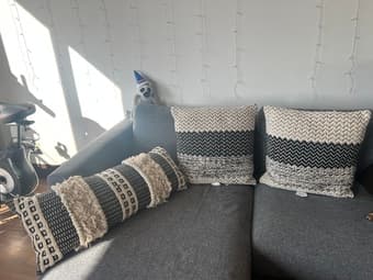 Couch Pillows 1