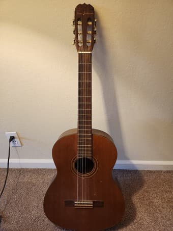 Acoustic Guitar 1