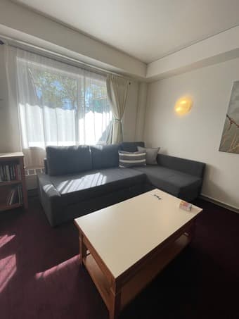 IKEA Sleeper sectional 2
