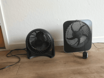 fans 1