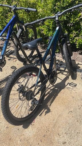 Bike 1