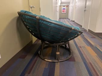 Papasan Chair 2