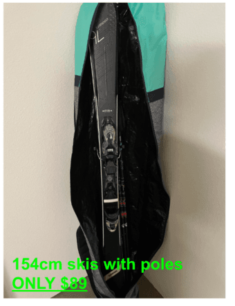 Skis with poles 1
