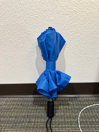 Umbrella 1