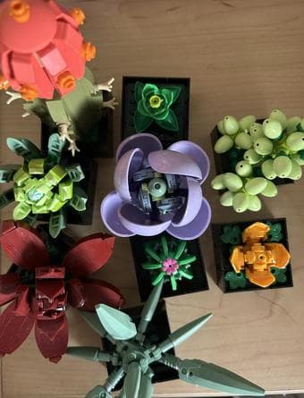 Lego Succulent Set (already built, have original box) 1