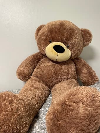 Gian Teddy Looking for a new home 1