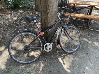 selling bike 190 OBO 1