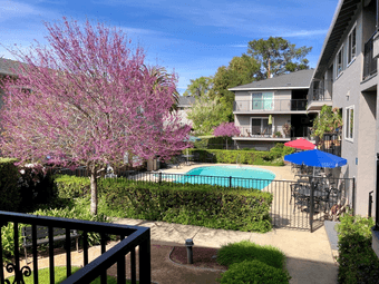 Room Listing - Ventura Avenue Apartment (Available starting July 28) 1