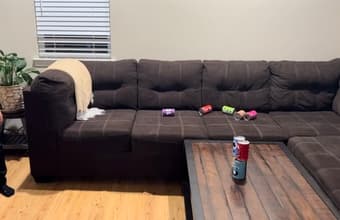 Excellent Brown Sofa Sectional 1