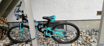 Bicycle for sale 1