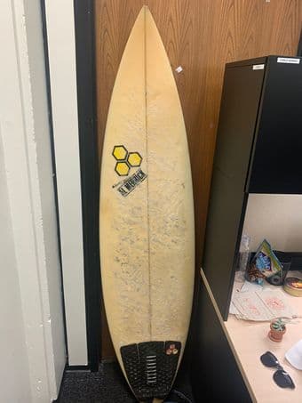 Surf Board & SurfSkate 1