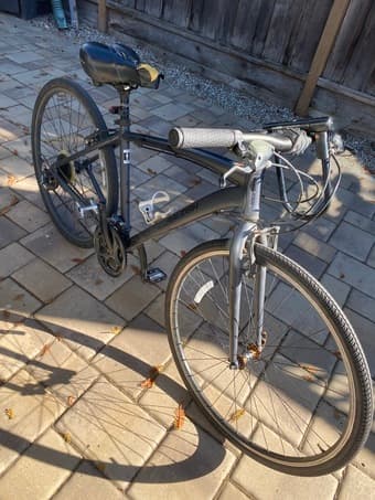 Raleigh bike 2
