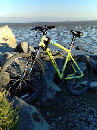 Reliable mountain bike 1