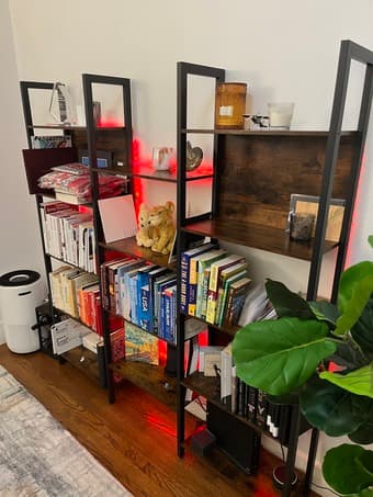 Book Shelf 2