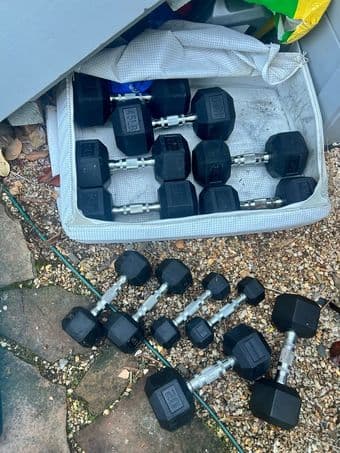 Dumbbells pair of 45lbs 1
