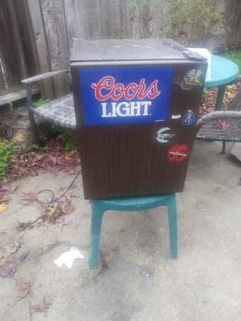 mini fridges 2