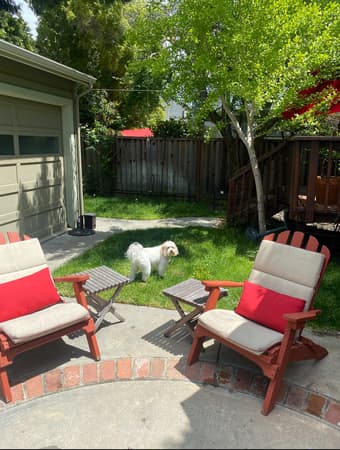Room available in beautiful downtown palo alto house next to campus. 2