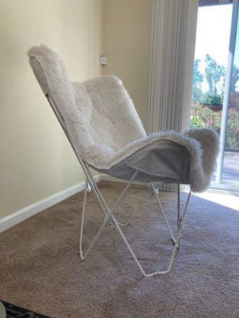 Fuzzy Chair 2