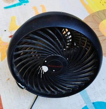 Fans 1