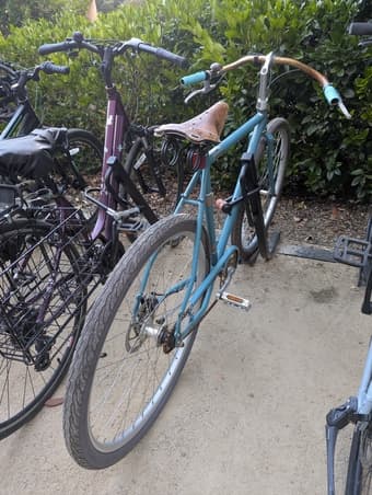 Raleigh Bike 1